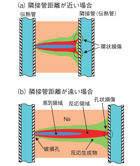 図2-12　反応ジェットの様相と伝熱管 （隣接管） の損傷