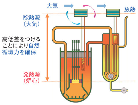 図2-3　Na冷却炉の自然循環崩壊熱除去