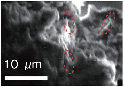 図3-16　土岐花崗岩断層ガウジ試料（M403.7R）の電子顕微鏡写真