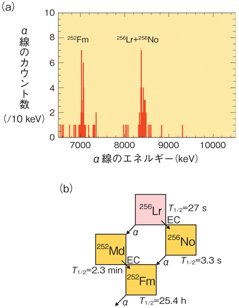 図7-6　（a）本研究によって初めてイオン化・質量分離された256Lr及びその娘・孫核種256No，252Fm由来のα線スペクトル（b） 256Lrの壊変図 （T1/2：半減期，α：α壊変，EC：電子捕獲壊変）