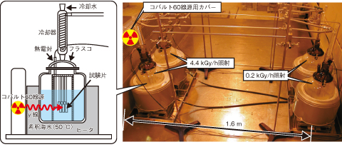 図1-30　γ線照射下での材料腐食試験の状況