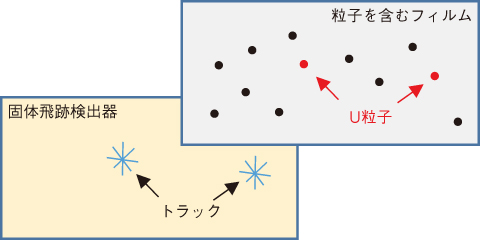 図4-19　試料中のU粒子の位置の特定