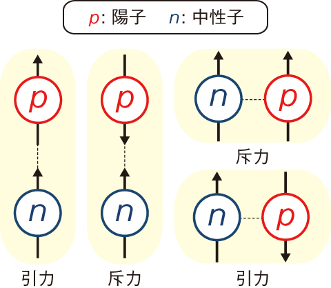 図4-3　陽子・中性子間に働くテンソル力の性質