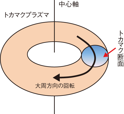 図9-21　トカマクプラズマの概観図とプラズマの回転