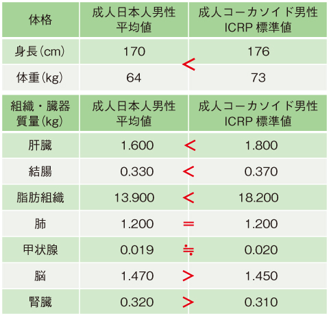 表4-1　体格及び組織・臓器質量の成人日本人男性の平均値とICRPが採用するコーカソイドの標準値