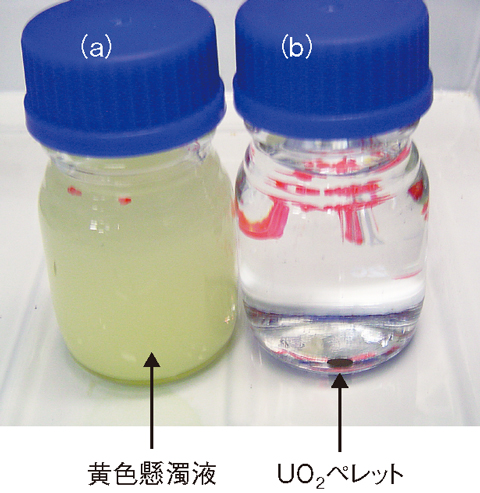 図1-29　（a）過酸化ウラン四水和物の黄色懸濁液と（b）純水に浸漬したUO<sub>2</sub>ペレットの観察像