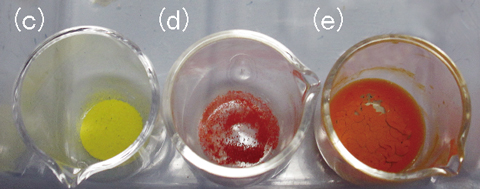 図1-31　三酸化ウラン水和物の観察像