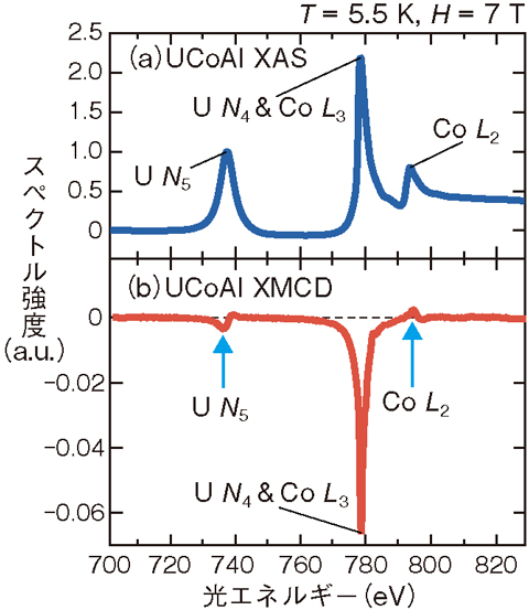 図5-11　UCoAlのU 4d-5f （N4,5）とCo 2p-3d（L2,3）吸収端での実験スペクトル