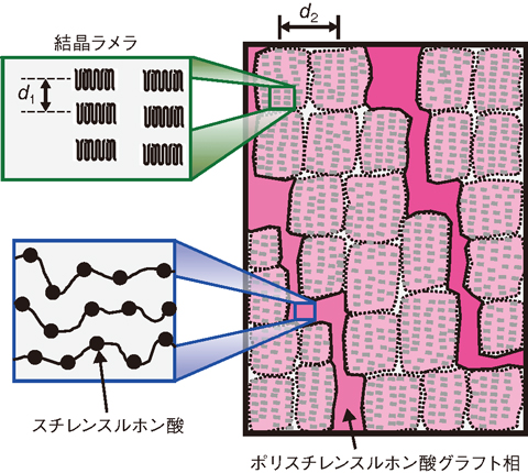 図5-19　グラフト型電解質膜の階層構造
