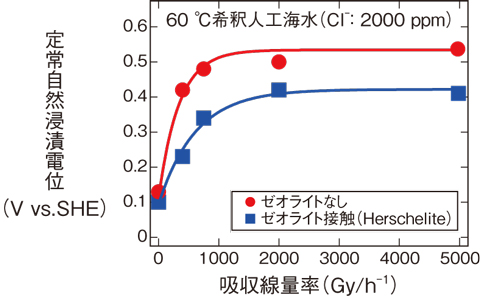 図1-16　吸収線量率に対する定常自然浸漬電位の変化とゼオライト接触の影響