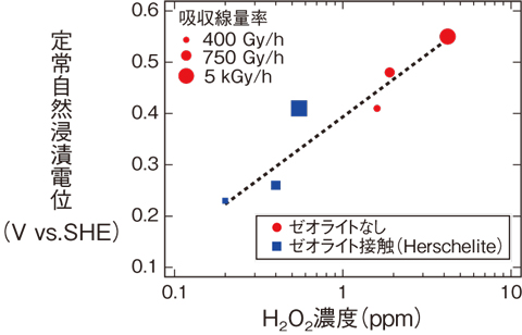 図1-17　定常自然浸漬電位とH2O2濃度の関係