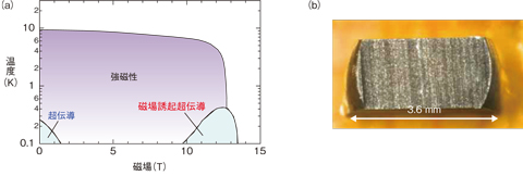 図3-2　URhGeの温度−磁場相図とNMR実験に用いた単結晶