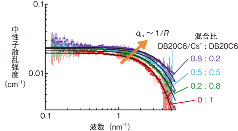 図5-19　DB20C6とDB20C6/Cs<sup>+</sup>の混合溶液から得られた中性子小角散乱（SANS）測定の結果