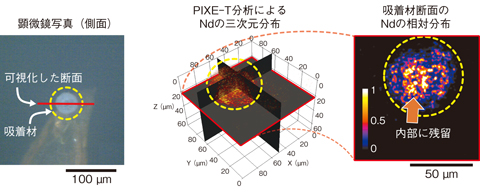図5-26　抽出クロマトグラフィ用多孔質シリカ吸着材の光学顕微鏡写真（左図）とPIXE-T分析結果（中央図，右図）