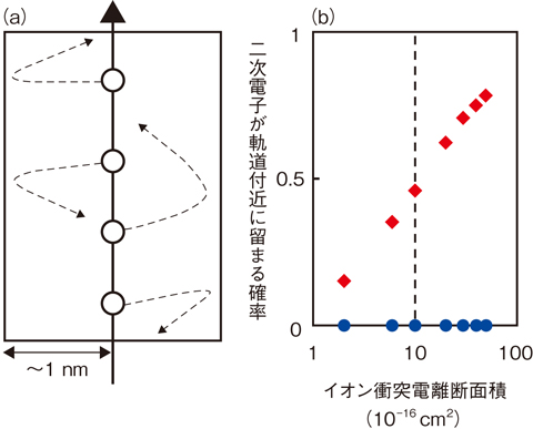 図5-33　（a）新規モデルの二次電子の運動の特徴、（b）二次電子が重粒子線ビームの軌道付近に留まる確率とイオン衝突電離断面積の関係