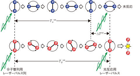 図5-43　分子回転制御によるレーザー同位体分離法の概念図