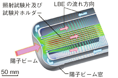 図4-8　溶融鉛ビスマス合金（LBE）ターゲット容器の概略図