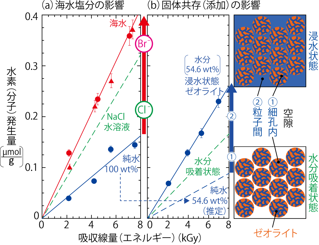 図1-15　H2発生に及ぼす(a)海水塩分の影響と(b)固体共存(添加)の影響(試料高さ一定(1 cm)条件)