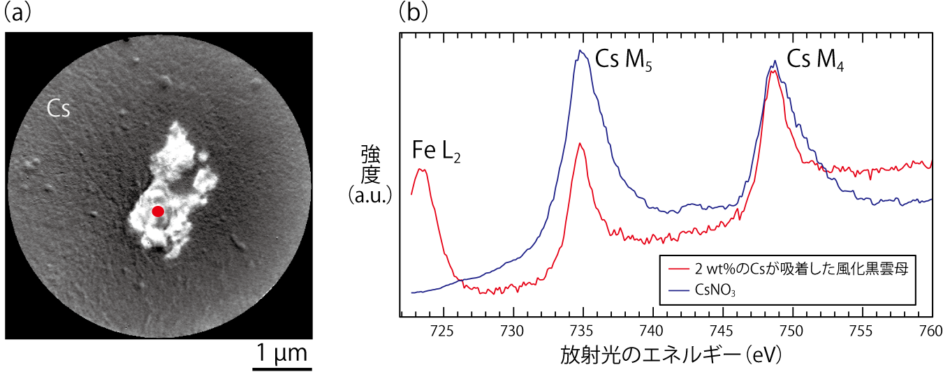 図1-39　(a)人工的にCsを2wt%吸着した風化黒雲母のSR-PEEM像、(b)(a)の赤印位置でのX線吸収スペクトル(—線)及びCsNO3参照スペクトル(—線)との比較