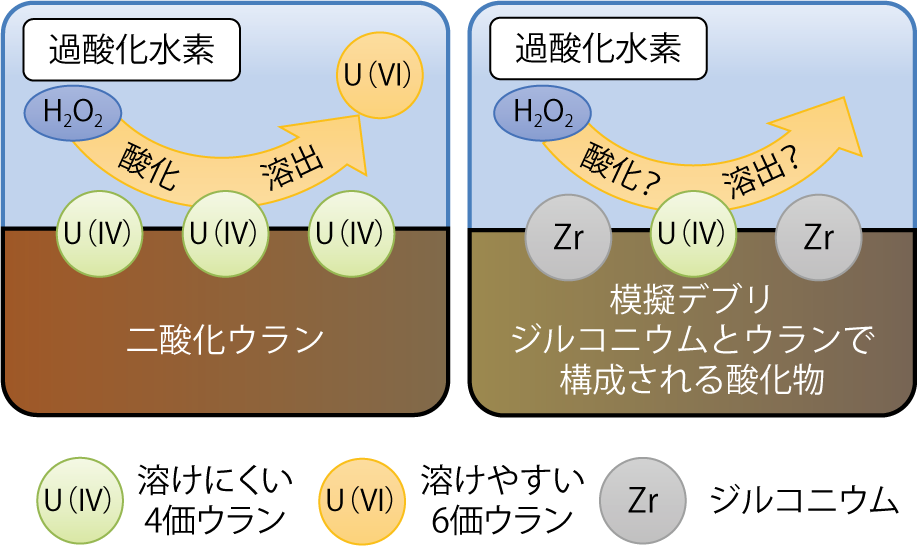 図1-8　過酸化水素によるUの溶出反応