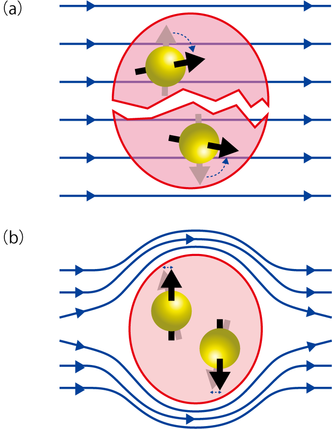 図3-10　超伝導電子対に磁場(-)をかけたときの振る舞い