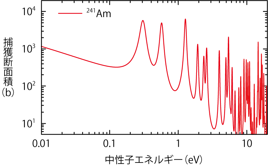 図4-3　241Amの捕獲断面積に見られる中性子共鳴構造