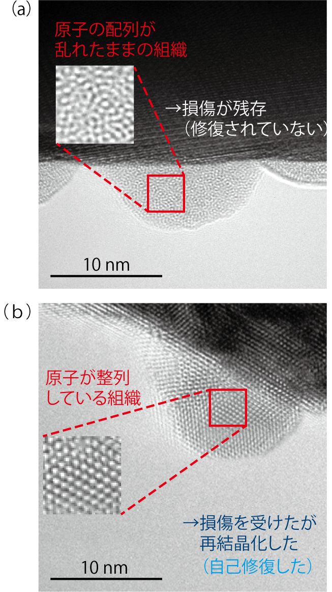 図4-5　新しい観察法で観察した超微細組織の写真