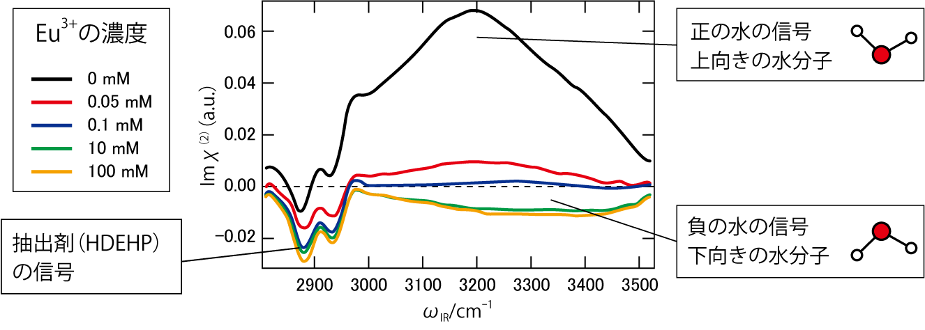 図4-9　ヘテロダイン検出振動和周波発生分光法という先進的なレーザー分光法によって得た界面の振動スペクトル