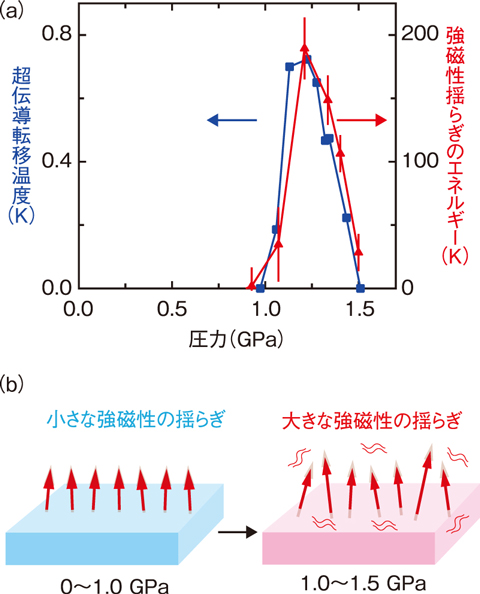 図３-１０　UGe２の強磁性揺らぎと超伝導転移温度の圧力変化