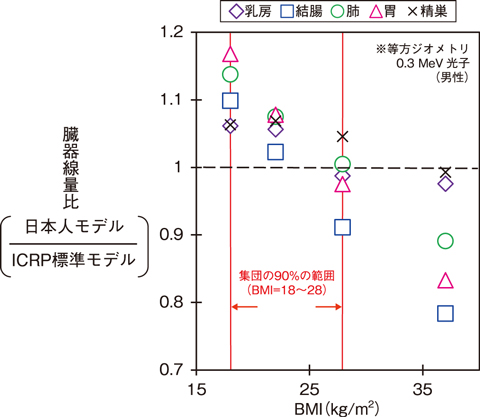 図４-１２　体格の異なる日本人モデルとICRP標準モデル間の光子外部照射による臓器線量比較