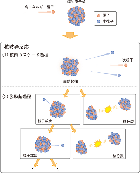 図４-１４　核破砕反応における核分裂と粒子放出の競合