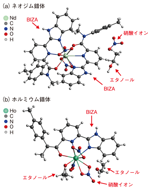 図５-２１　ランタノイドとBIZAの錯体の結晶構造