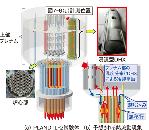 図７-５　Na試験装置（PLANDTL-２）の試験体と炉容器内に設置した冷却器による自然対流崩壊熱除去システムのイメージ