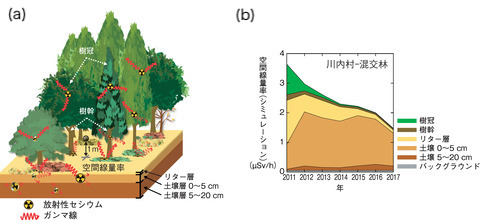 図1-36 森林内の放射性物質から発するガンマ線と空間線量率の関係を示す模式図