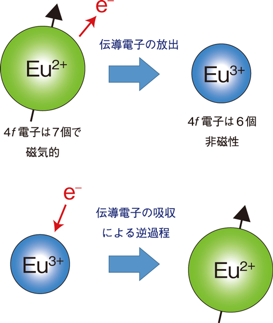 5-7 Eu化合物に現れる「重い電子」はどのように形成されるのか