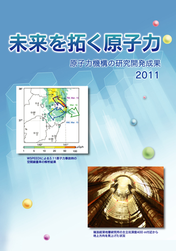 2010_cover