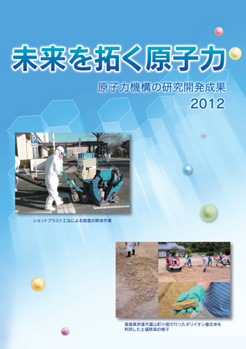 2011_cover