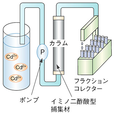 たゆまざる探究の軌跡 研究活動と成果04