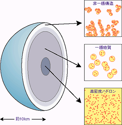 たゆまざる探究の軌跡－研究活動と成果１９９８